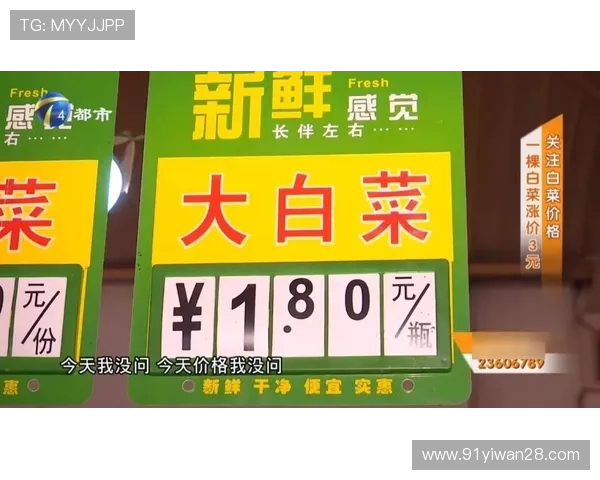 2025年白菜价格未来走势分析与预测